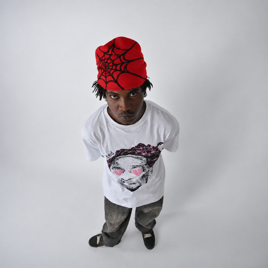 The Spider Web Beanie by Raiza